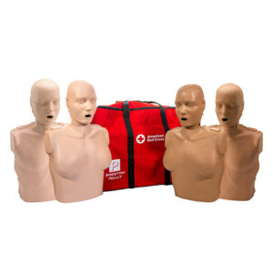 Adult Male and Female manikin set